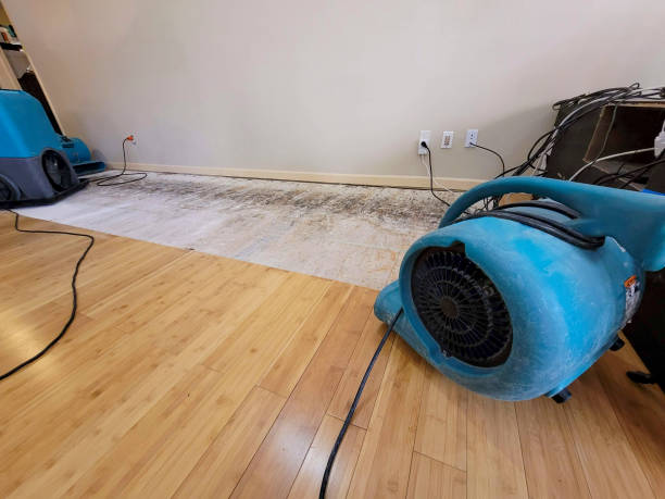 Professional Water Damage Repair technician working in Wakefield, RI